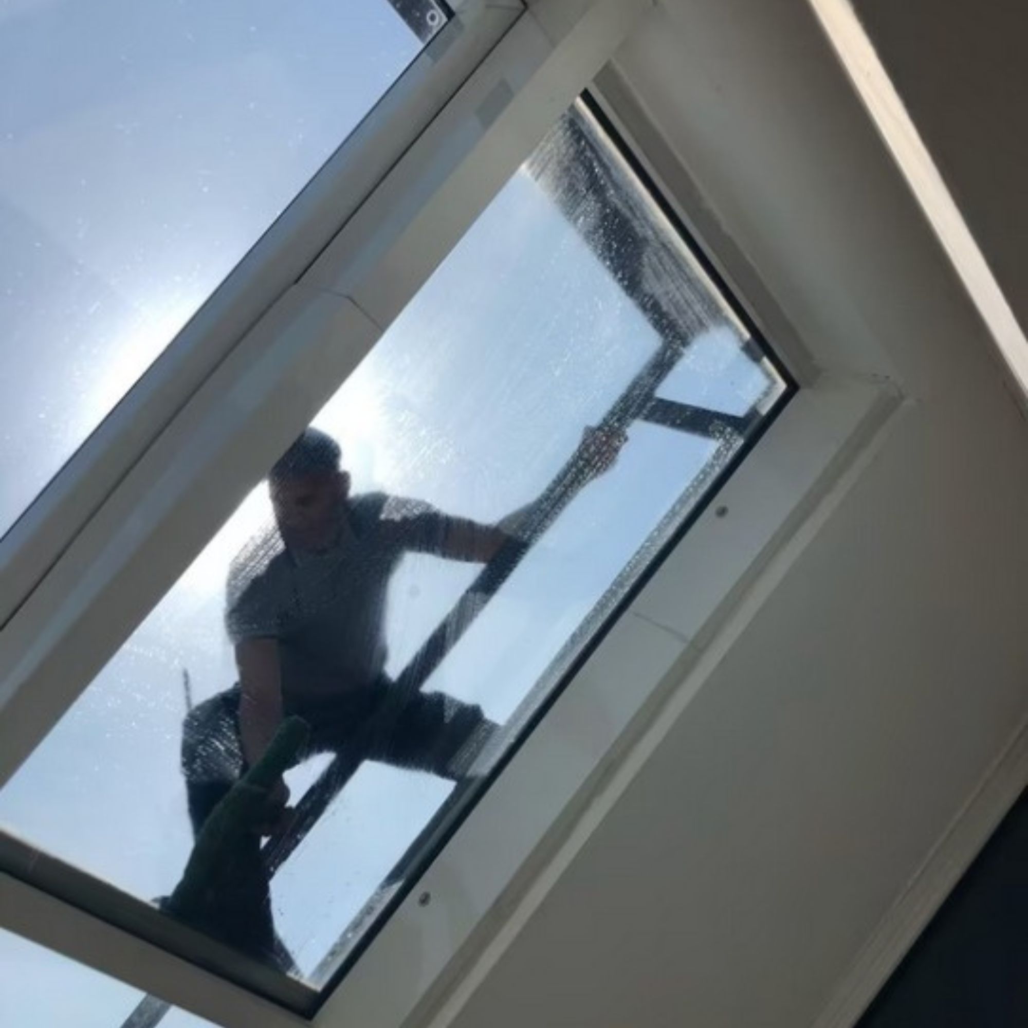 SauberMeister Reinigungsdienstleistungen(8)